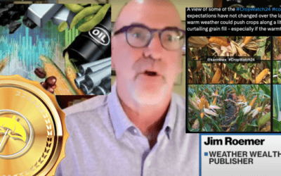 Videos: Trade Ideas, What’s Driving Grain Markets, Soft Commodities & Natural Gas Prices